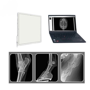 Panel detector 4343Z